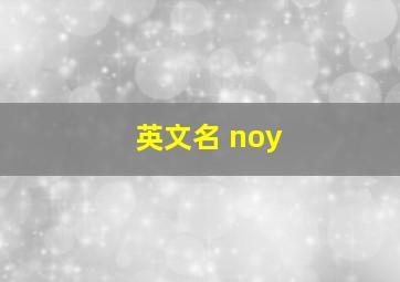 英文名 noy